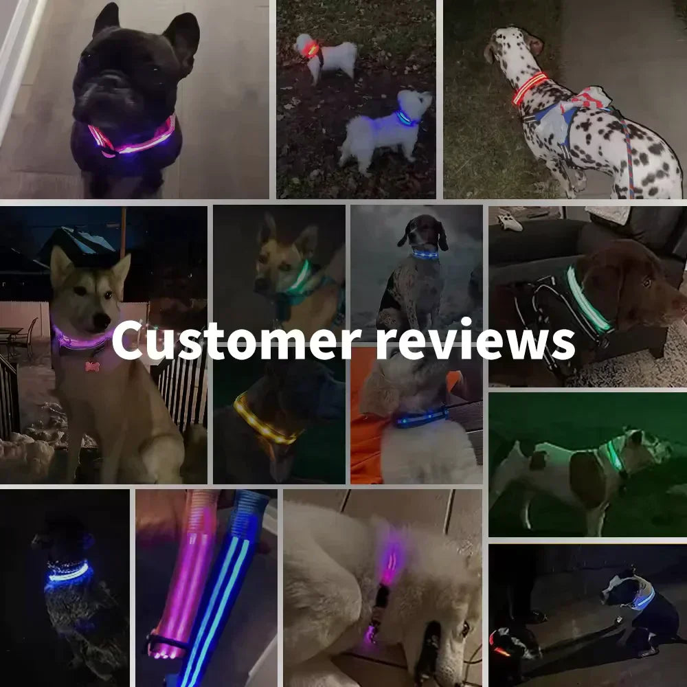 LED Dog Collars